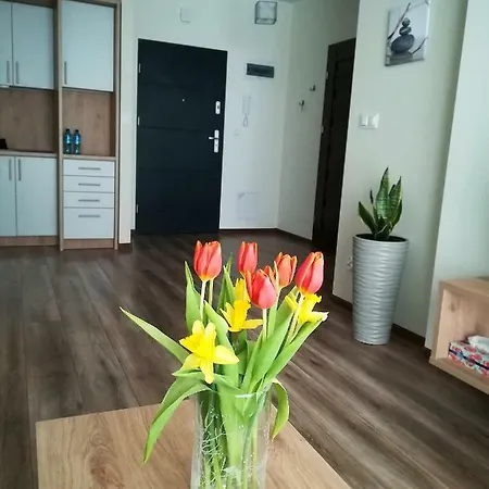 Modern Apartment Suwalki Exterior photo